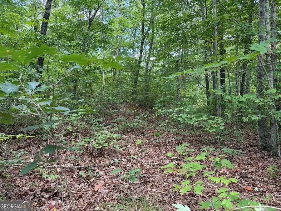 138 Harris Creek Drive #138, Ellijay, GA 30540 - #3
