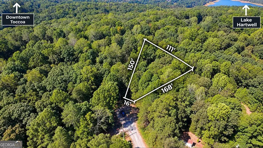 0 Eagle Court, Toccoa, GA 30577 - #3