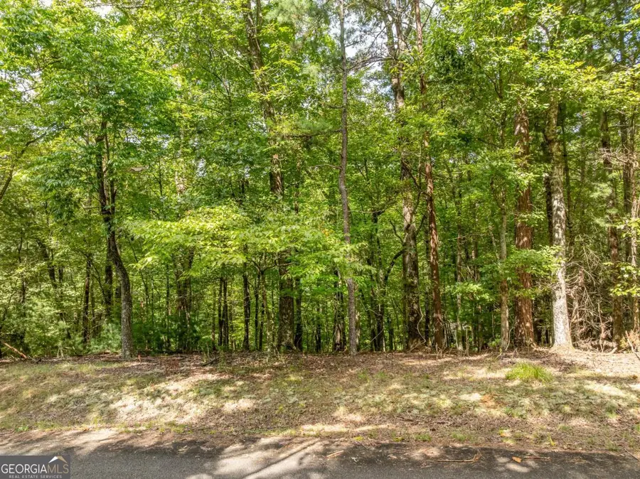 LOT 272 Seneca Drive, Ellijay, GA 30540 - #2