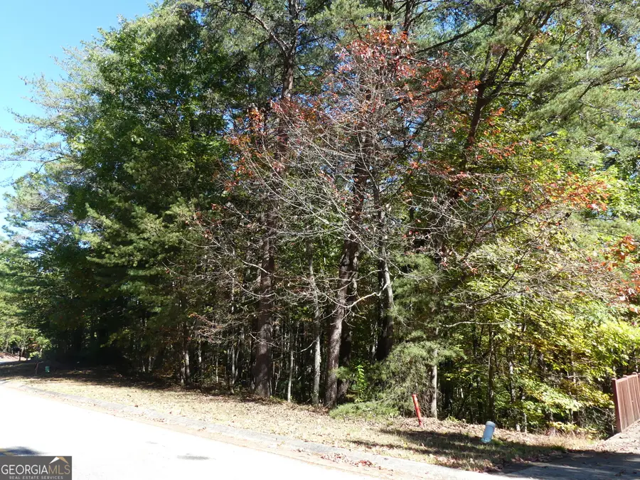 0 Zeppelin Strasse #LOT 78, Helen, GA 30545 - #3