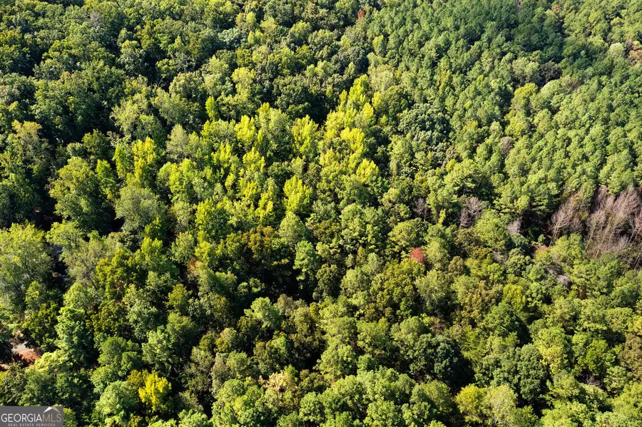 0 SW Oakmont Drive Southwest Drive Sw #LOTS 10 AND 11, Rome, GA 30161 - #3