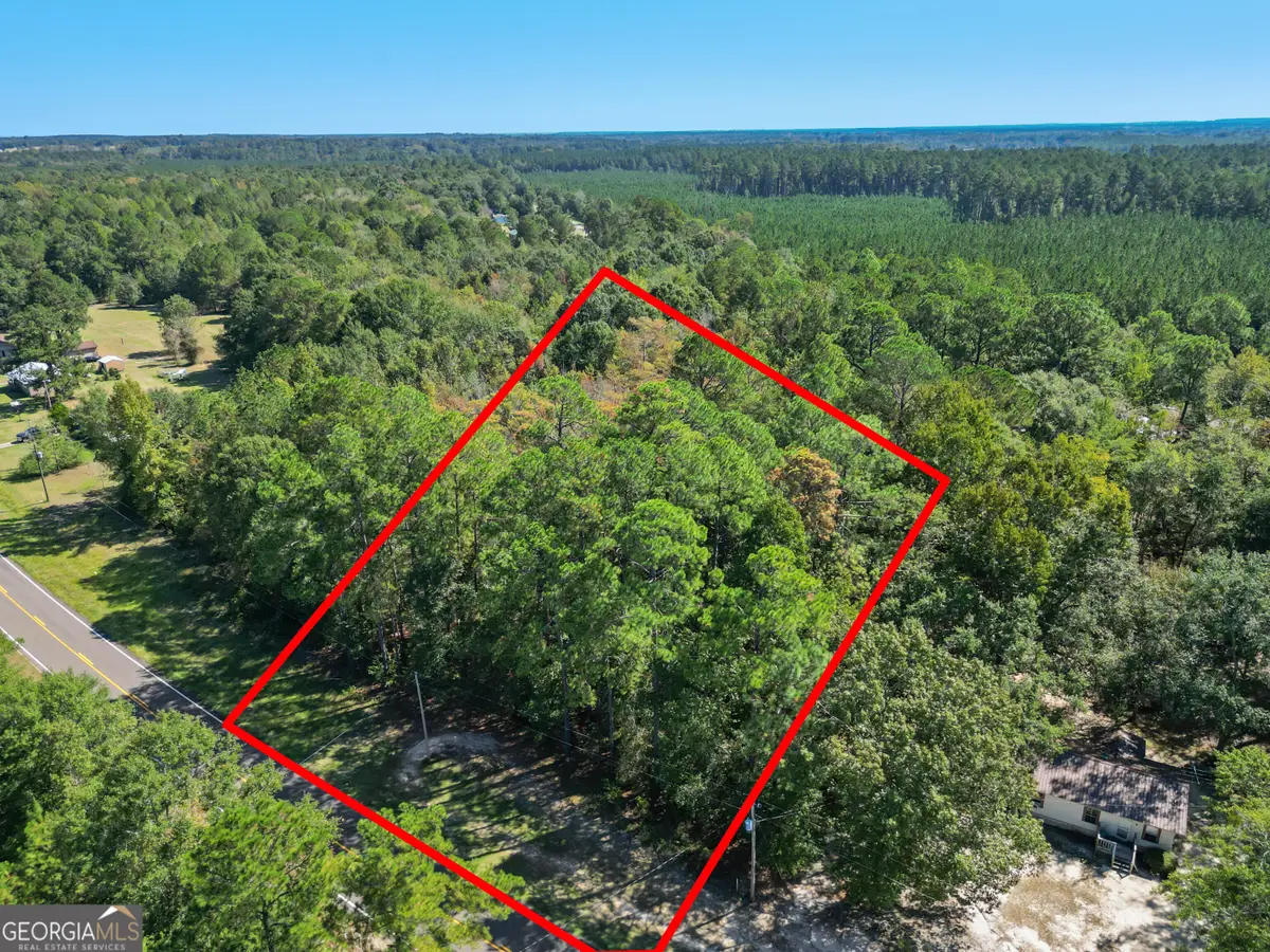 0 Friendship Road, Sylvania, GA 30467 - #1
