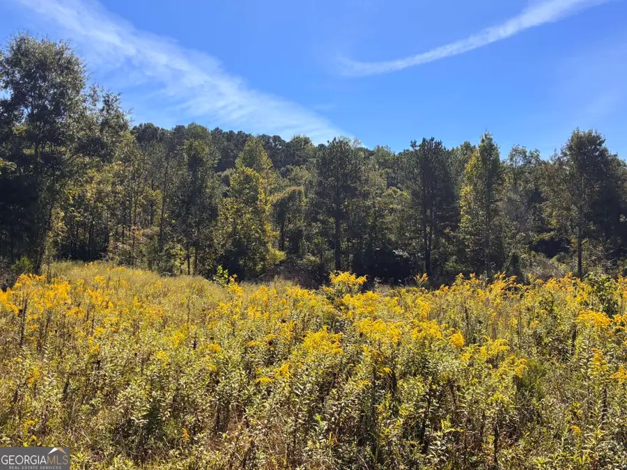36.55 ACRES Back Valley Road, Lyerly, GA 30730 - #3