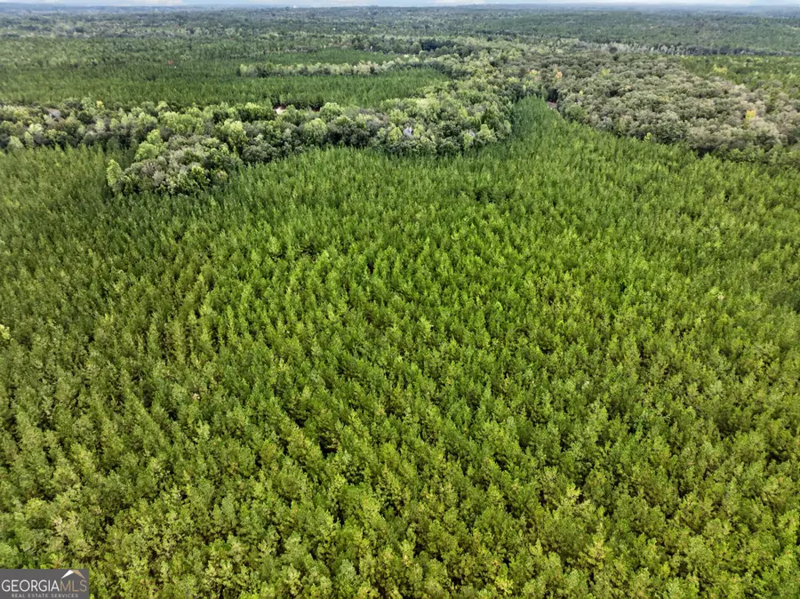 0 SW Black Creek Road, Gordon, GA 31031 - #3