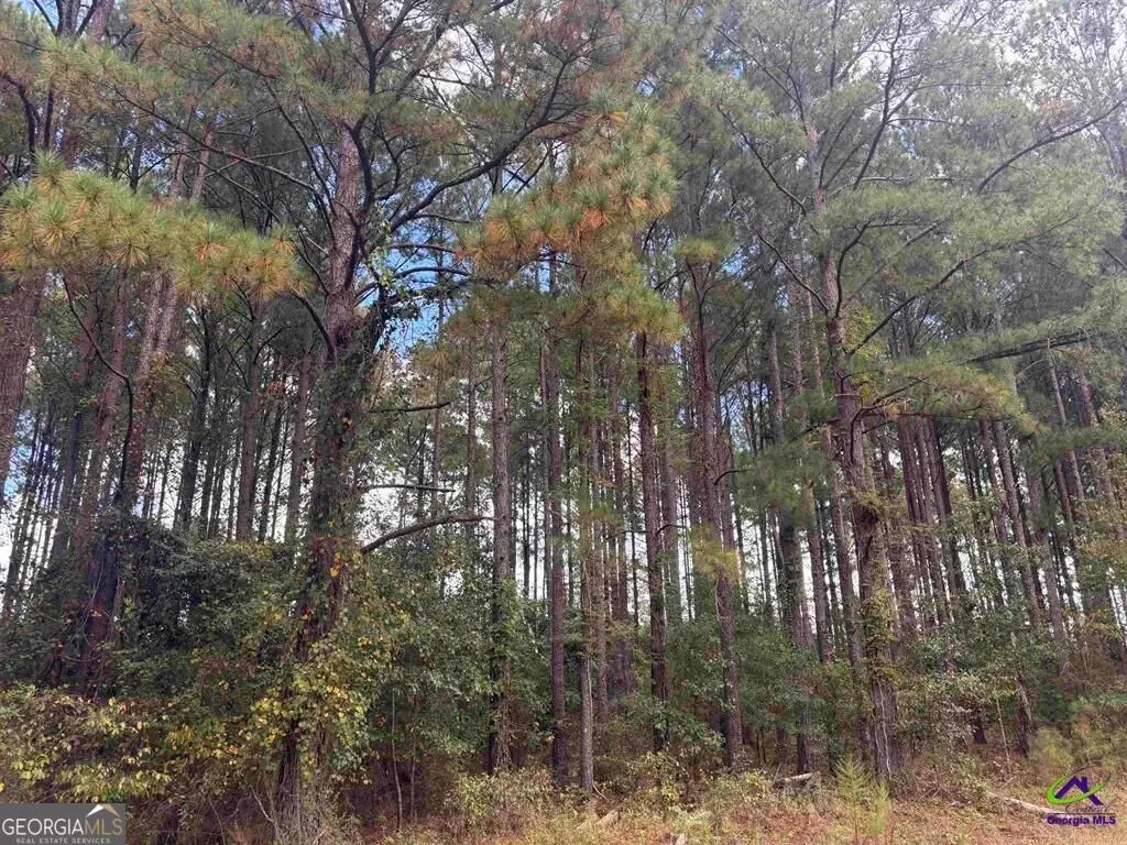 LOT 4 & 5 Limestone Landing, Cochran, GA 31014 - #1