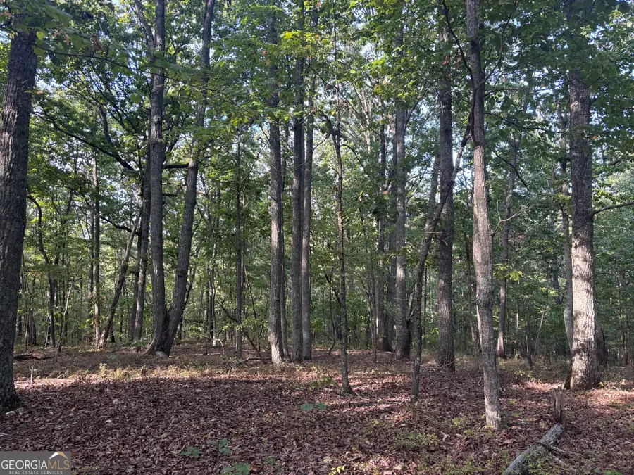 0 Killarney Way, Kingston, GA 30145 - #2