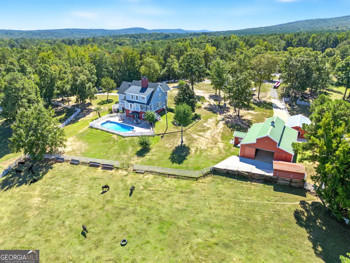 1687 Turkey Creek Road, Thomaston, GA 30286 - #1