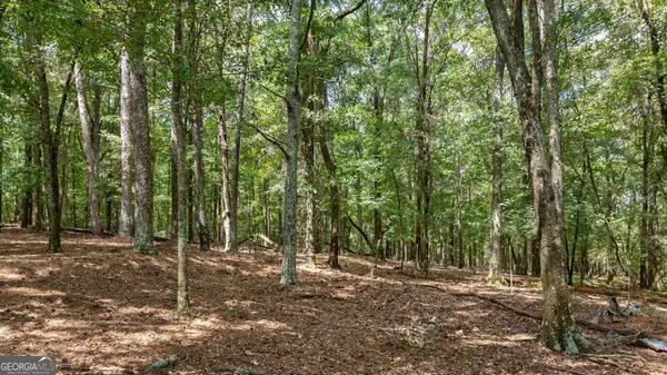 0 Middlebrooks Road, Watkinsville, GA 30677