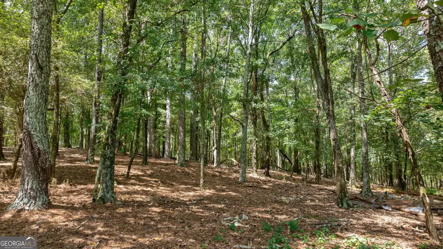 0 Middlebrooks Road, Watkinsville, GA 30677 - #2