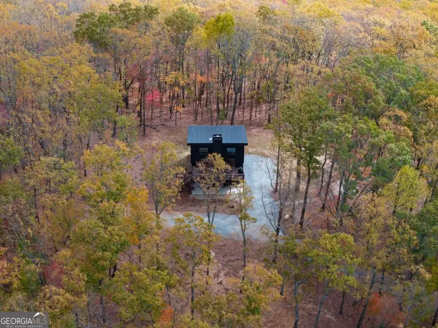 1250 Lost Forest Road, Ellijay, GA 30536 - #2