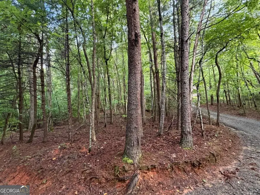 0 Peach Lane, Ellijay, GA 30536 - #2