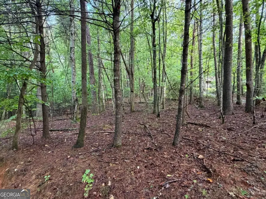 0 Peach Lane, Ellijay, GA 30536 - #3