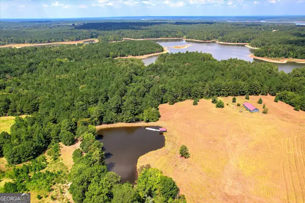 2207 Mccormick Highway, Lincolnton, GA 30817