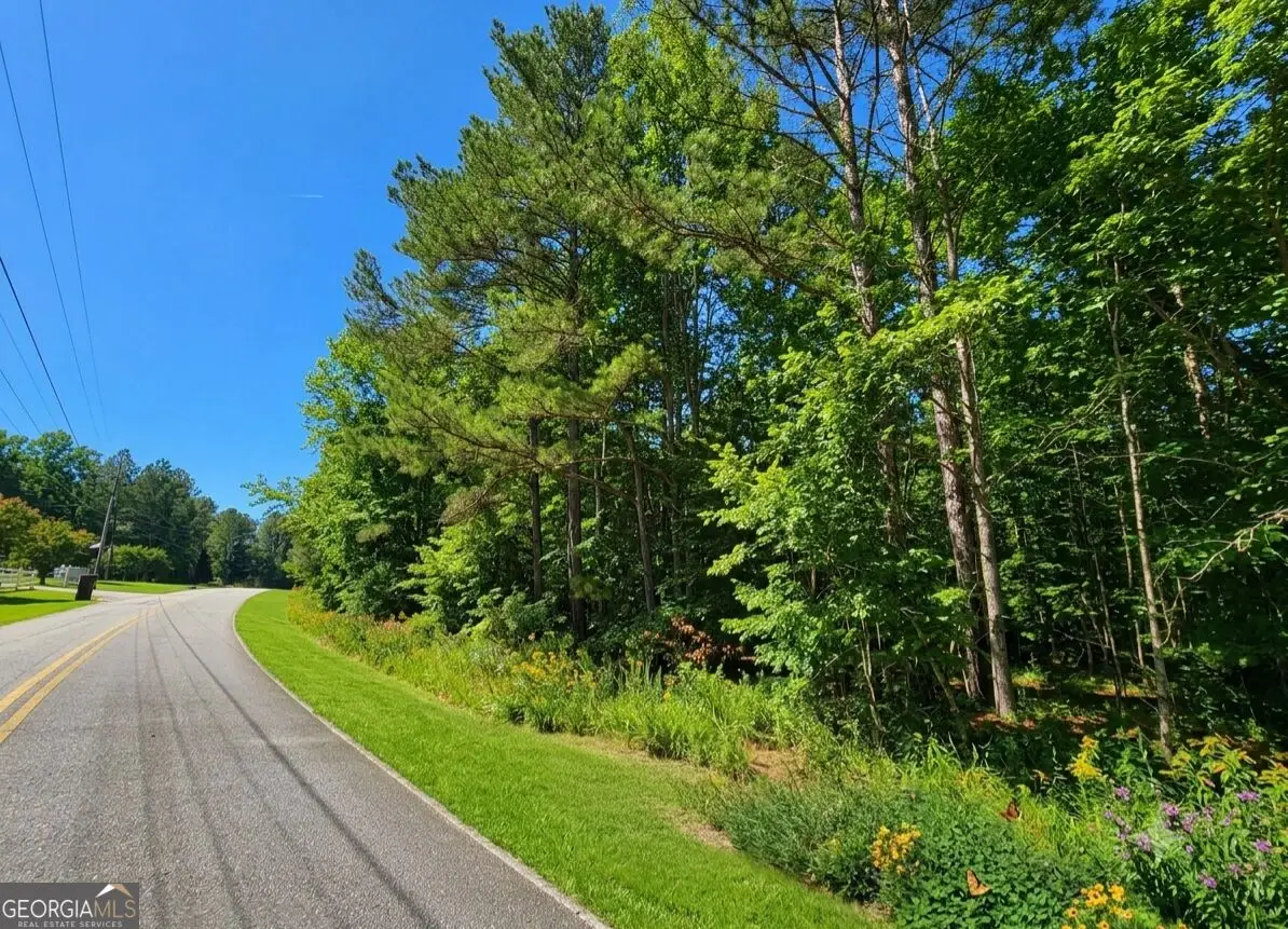 0 River Shoals Ct, Covington, GA 30016 - #1
