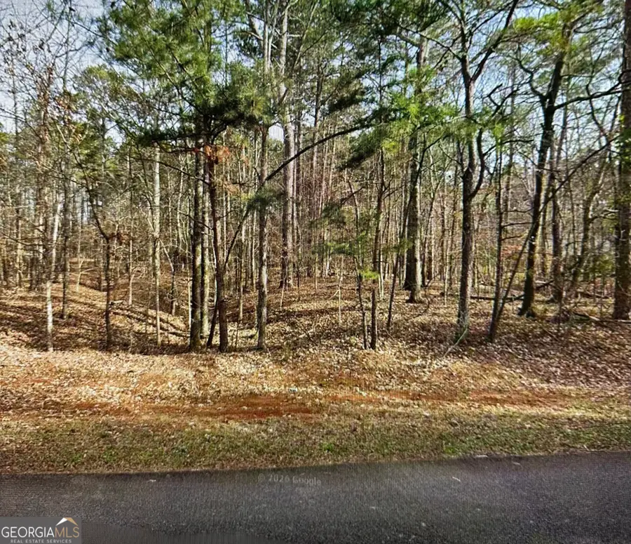1141 Brannon Drive, Greensboro, GA 30642 - #3
