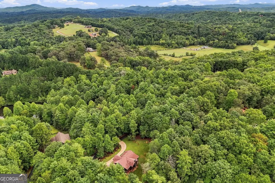 24 Jared Road, Blue Ridge, GA 30513 - #3