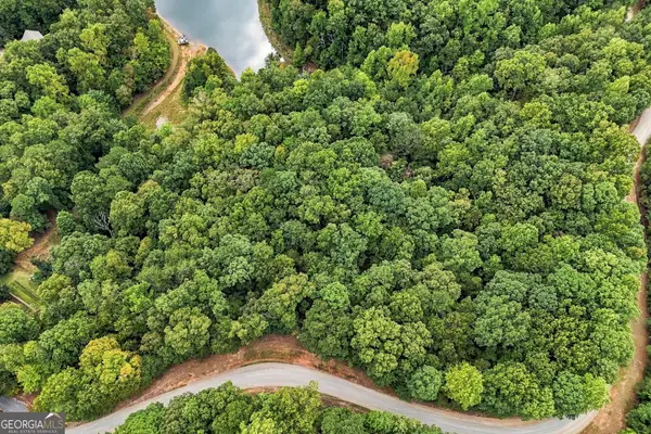 0 Lakeland Drive #003, Ellijay, GA 30540