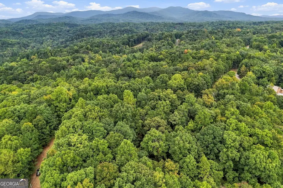 0 Lakeland Drive #003, Ellijay, GA 30540 - #2