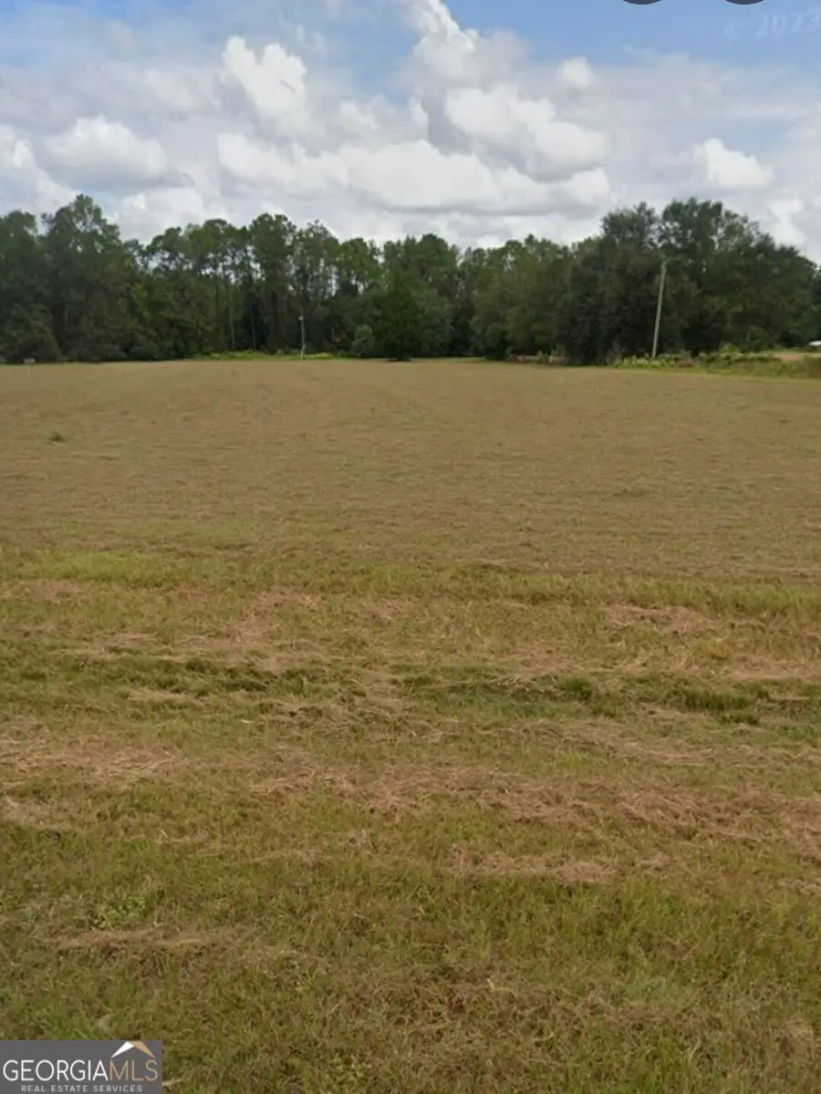 0 Central Avenue #2 ACRES, Hoboken, GA 31542 - #2