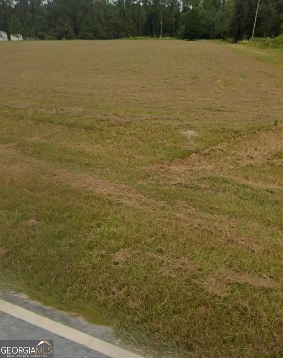 0 Central Avenue #2 ACRES, Hoboken, GA 31542 - #3