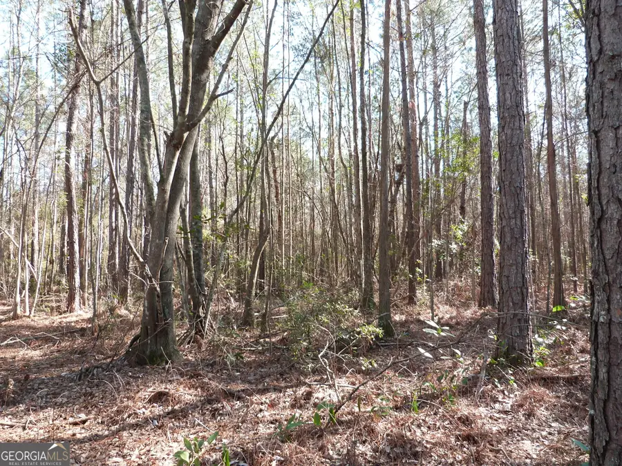 0 Highway 119 North, Ellabell, GA 31308 - #2