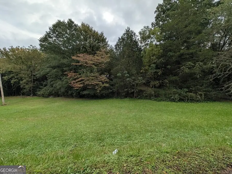 361 Austin Street, Blue Ridge, GA 30513 - #2