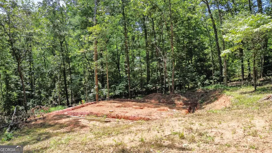 186 Sweetbriar Drive #LOT 10, Demorest, GA 30535 - #2
