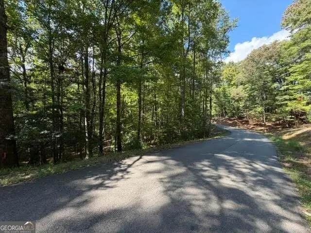 556 Satsuma Court S, Ellijay, GA 30540 - #3