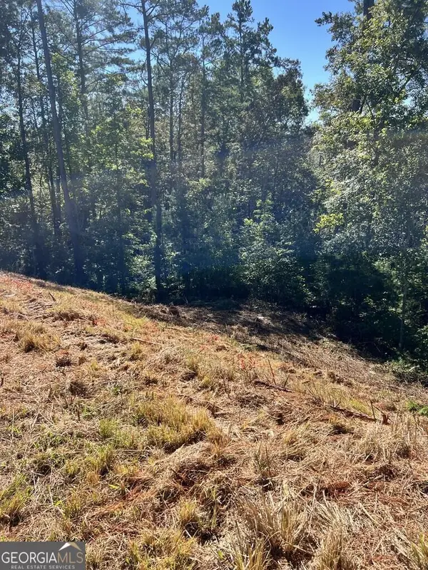 LT 229 Woodstone Trail, Ellijay, GA 30540