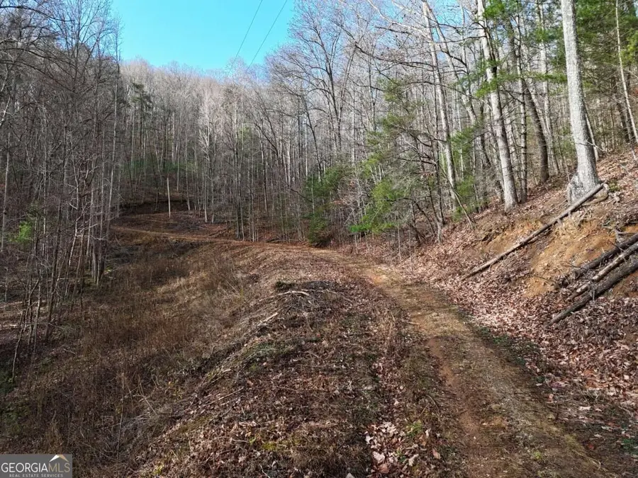 4.01 ACRES Park Hill Avenue, Blairsville, GA 30512 - #2