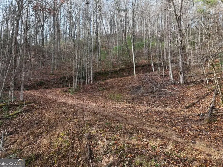 4.01 ACRES Park Hill Avenue, Blairsville, GA 30512 - #3