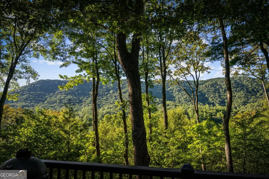241 Wilderness Way, Ellijay, GA 30536 - #2