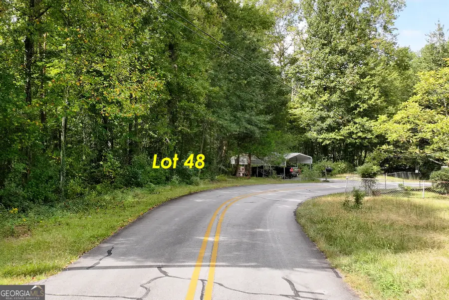 LOT 48 & 50 Barron Drive, Clarkesville, GA 30523 - #2