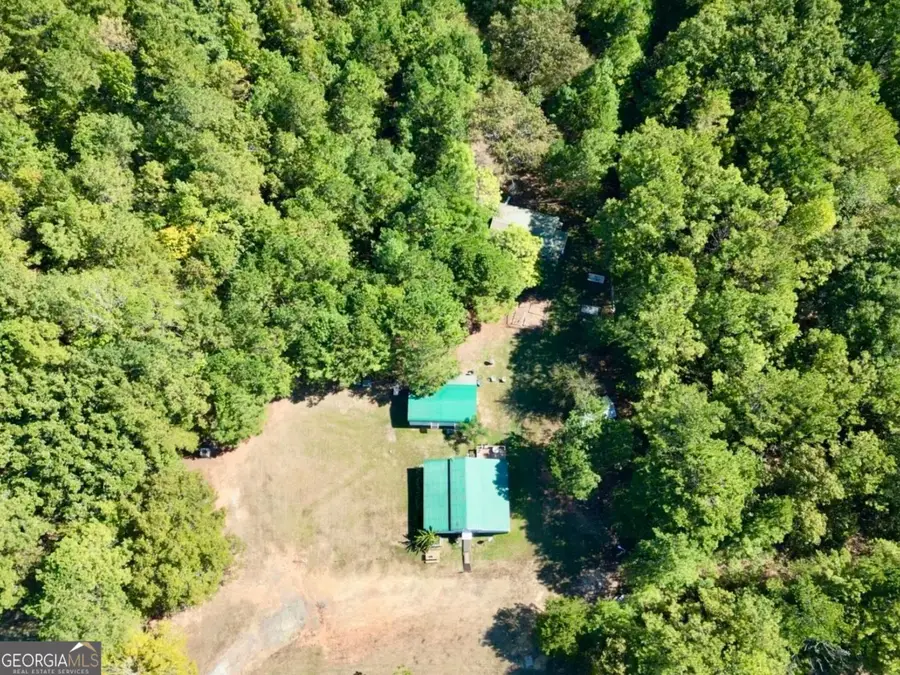 445 Hollis Road, Yatesville, GA 31097 - #3