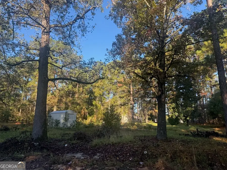 201 Waters Grove Road, Sylvania, GA 30467 - #2