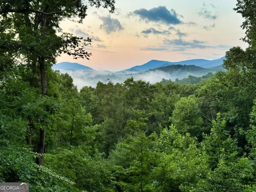 193 Nonchalant Lane, Blairsville, GA 30512 - #2