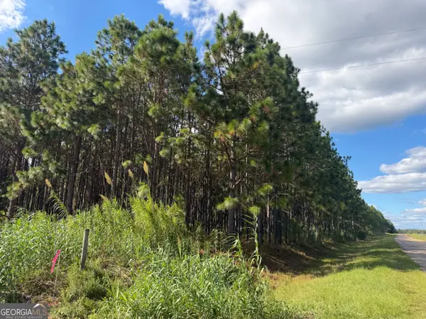 001 Sandy Bottom Road, Blakely, GA 39823