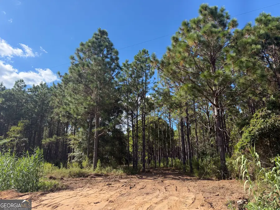 001 Sandy Bottom Road, Blakely, GA 39823 - #2