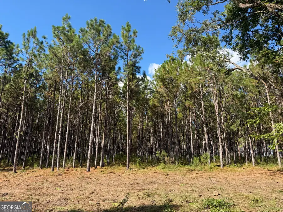 001 Sandy Bottom Road, Blakely, GA 39823 - #3