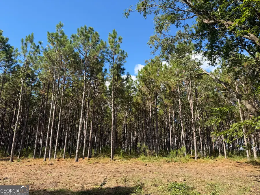 004 Five Bridges Road, Blakely, GA 39823 - #3