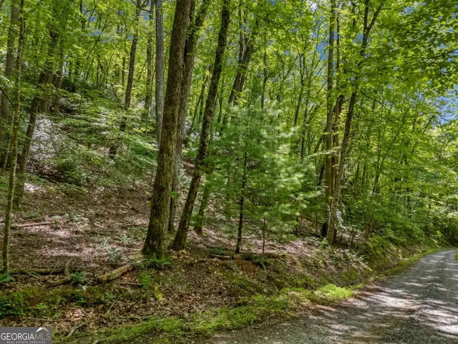 0 Paradise Lane, Blue Ridge, GA 30513 - #2