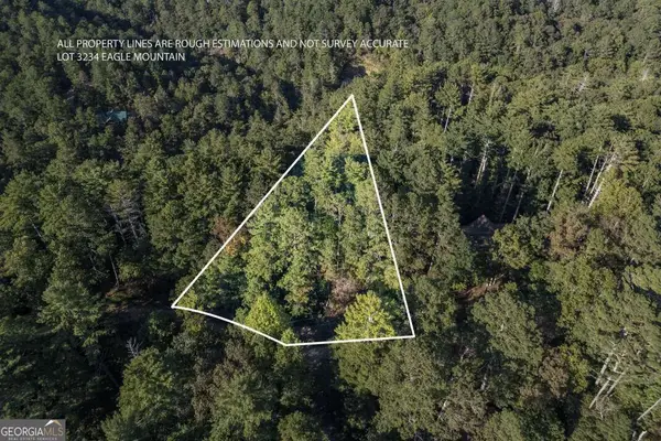 LOT 3234 Eagle Mountain, Ellijay, GA 30536