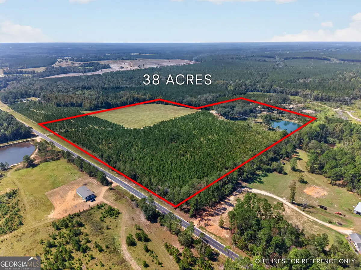 3999 Oscar Tippins Road, Baxley, GA 31513 - #1