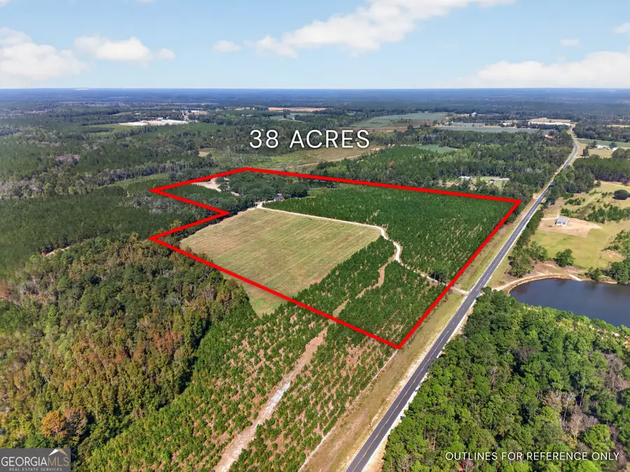 3999 Oscar Tippins Road, Baxley, GA 31513 - #2