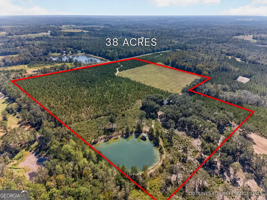 3999 Oscar Tippins Road, Baxley, GA 31513 - #3