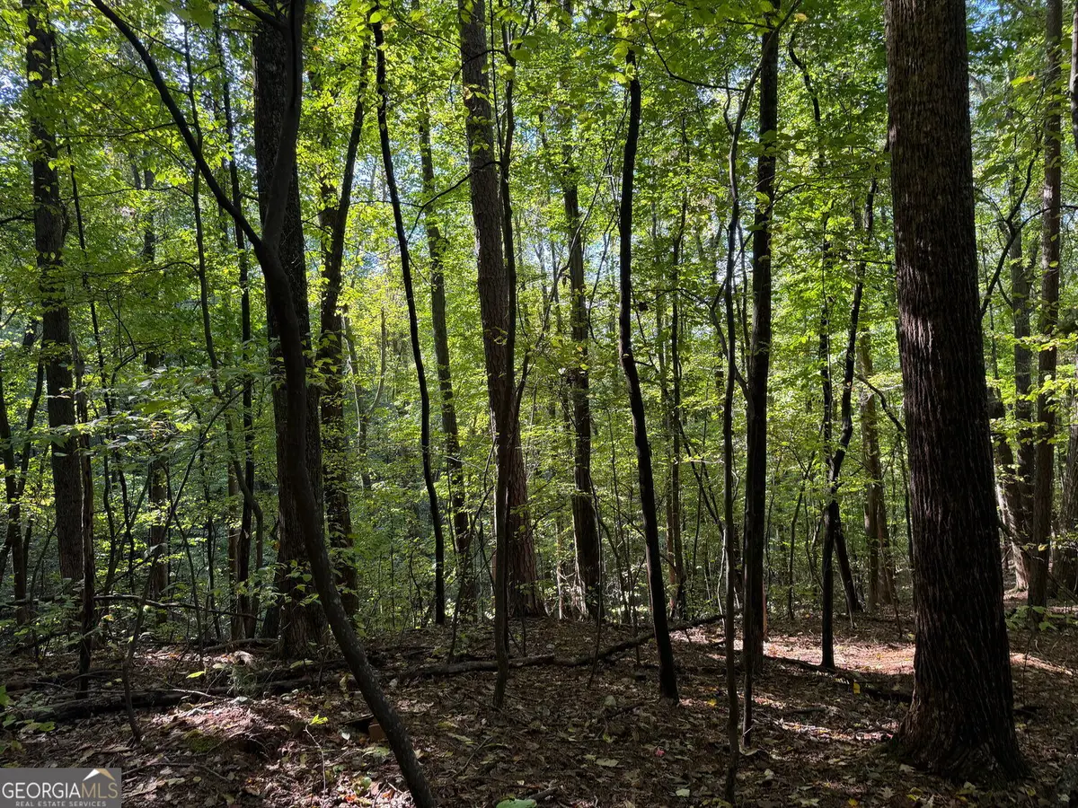 0 Mountain View Court, Ellijay, GA 30536 - #1