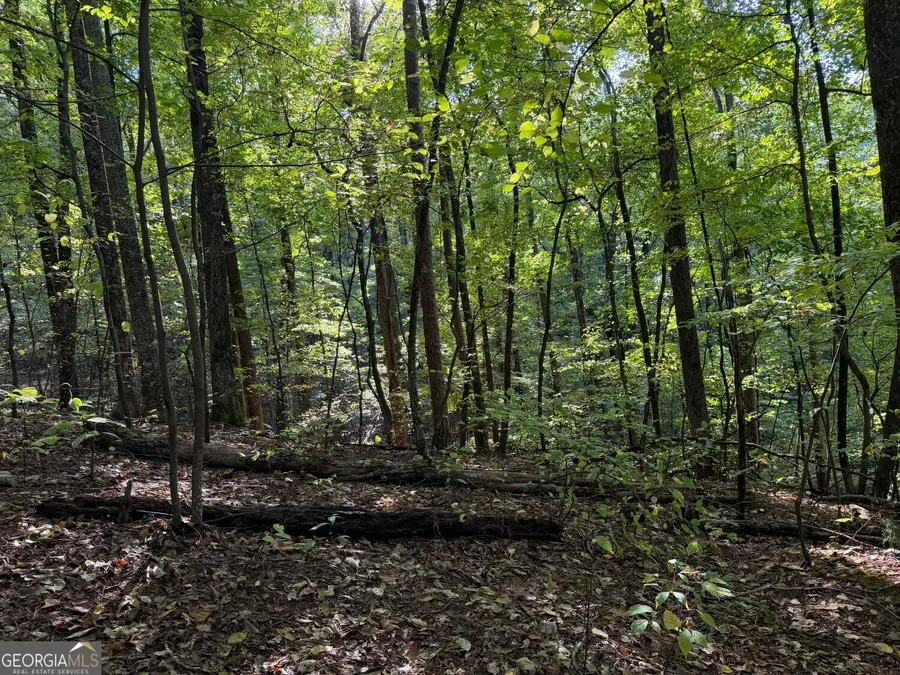 0 Mountain View Court, Ellijay, GA 30536 - #2