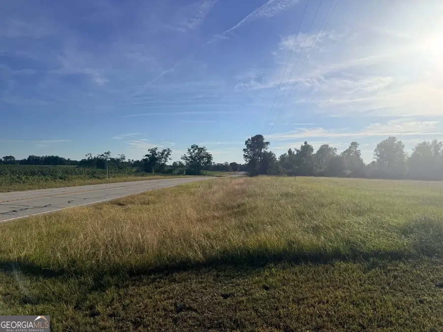 1589 Ga Highway 23 S, Garfield, GA 30425 - #3