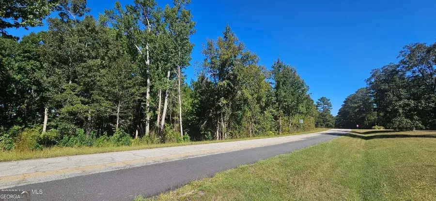 TRACT 1 Bethany Church Road, Lincolnton, GA 30817 - #3