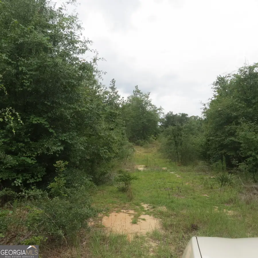 701 College Street, Eastman, GA 31023 - #2